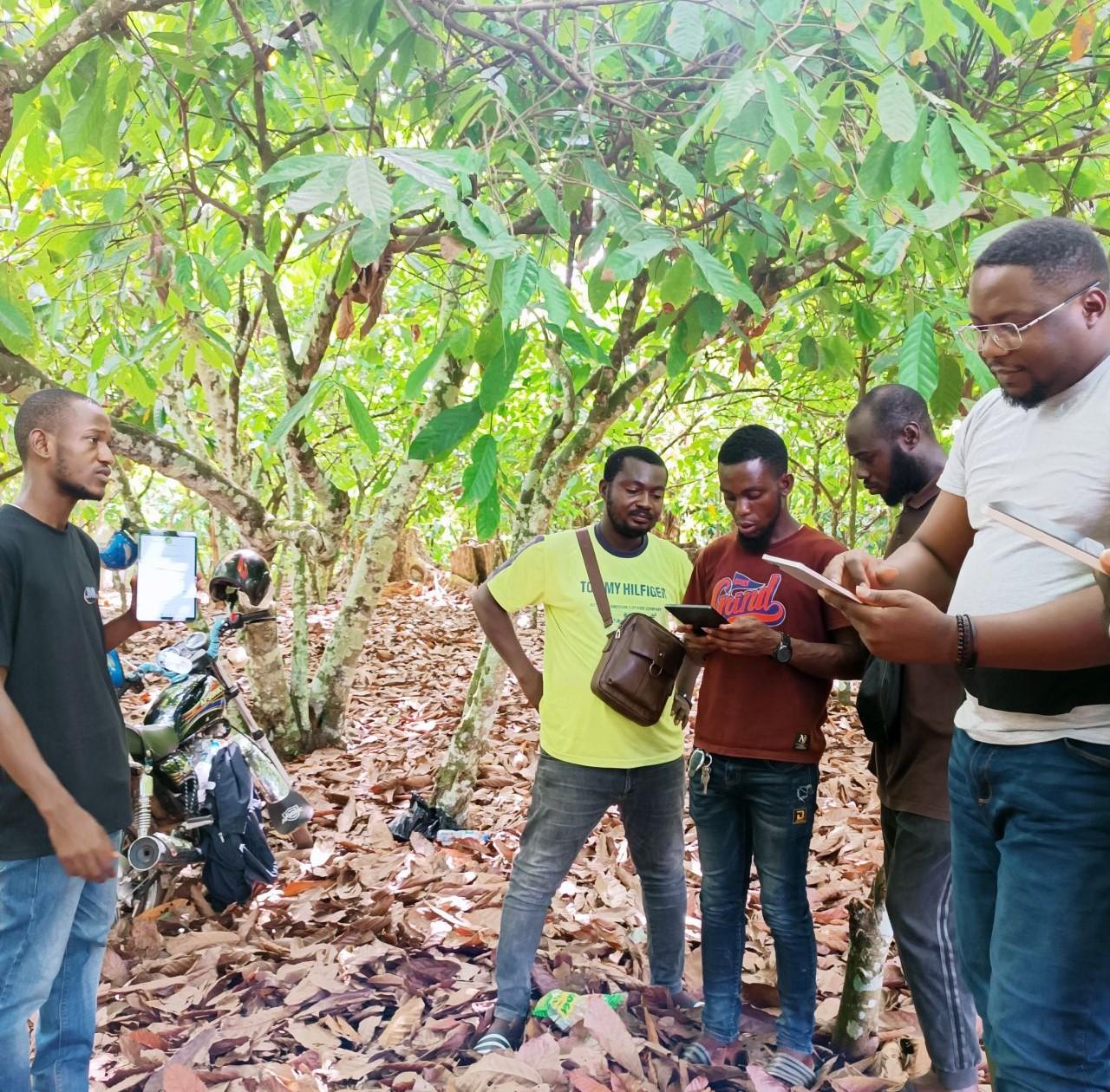 Une application de traçabilité digitale pour la Compagnie Cacaoyère du Bandama