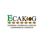 Ecakoog