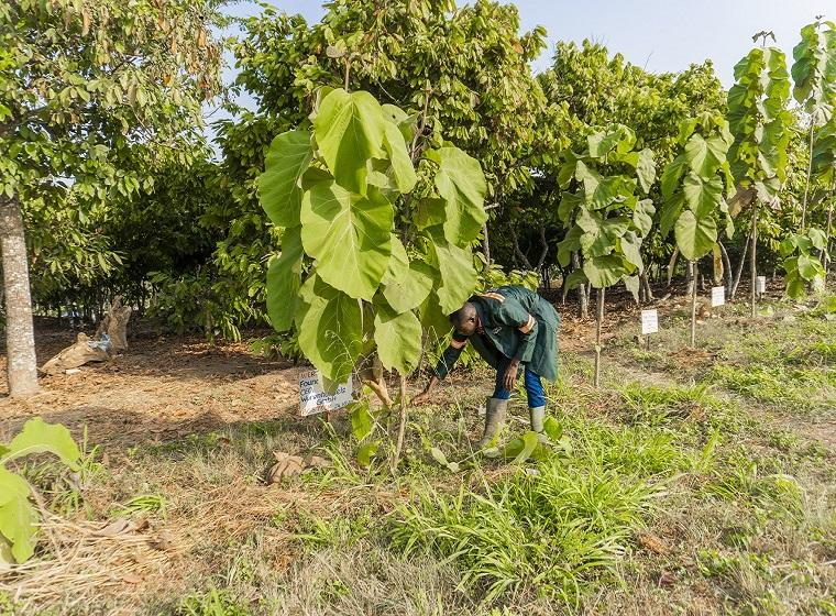 Environnement & développement durable