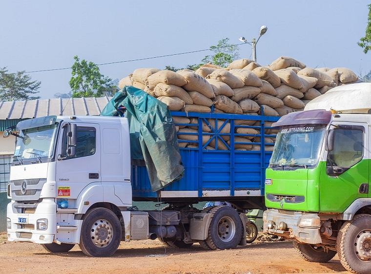 Conseil en logistique et transport